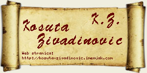 Košuta Živadinović vizit kartica